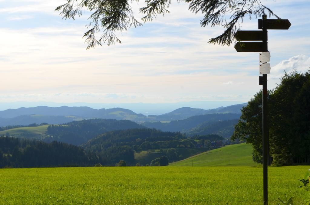 Gasthaus Zum Kreuz Sankt Märgen Exteriör bild